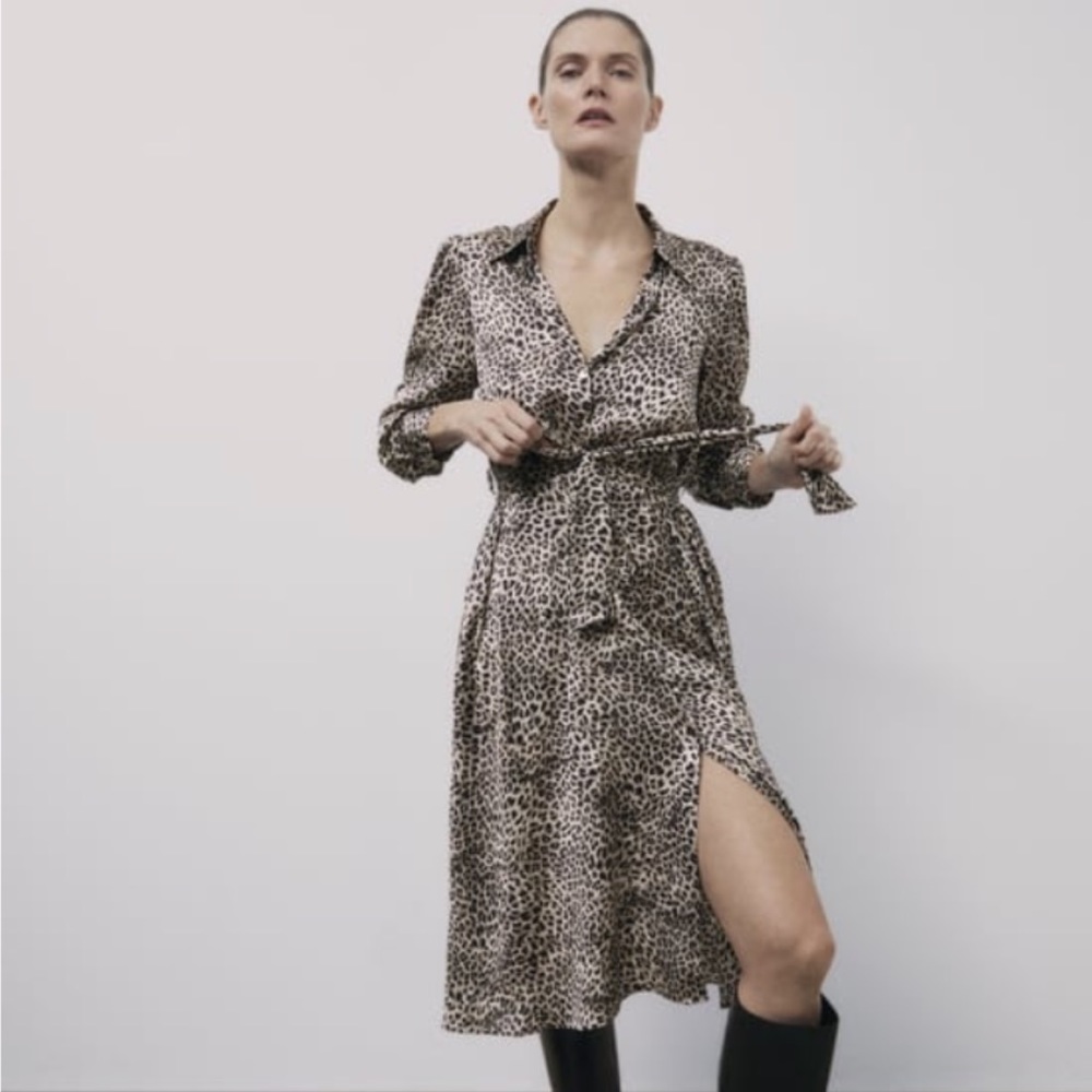 Zara Cheetah Dress NWT